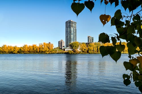 Hochhaus In Der Nähe Von Bäumen