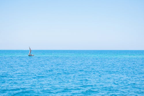 Free stock photo of blue, blue ocean, blue waters