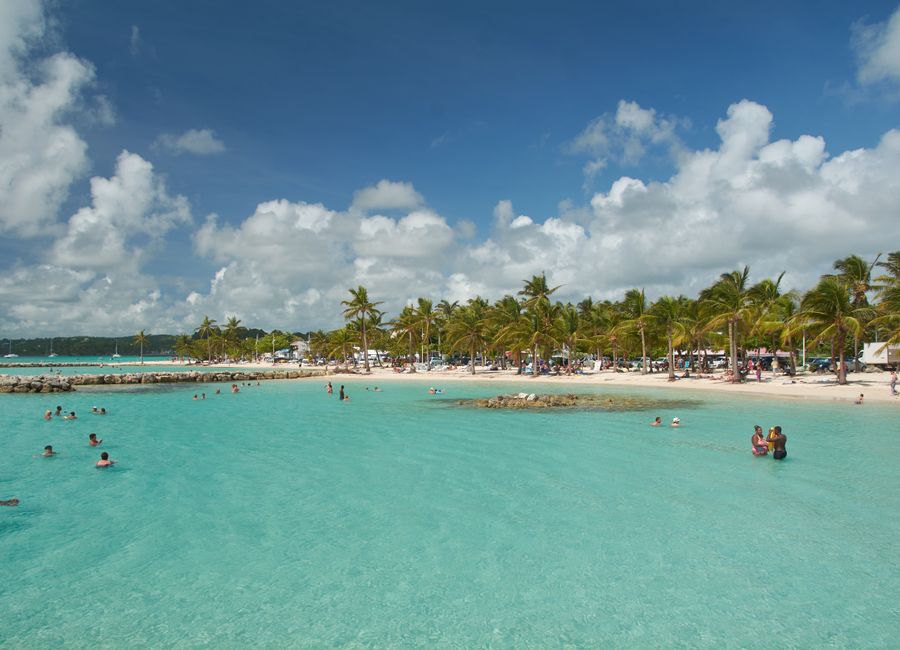 Idyllic tropical beach with palm trees and turquoise waters in Sainte-Anne, ideal for vacation and leisure activities.