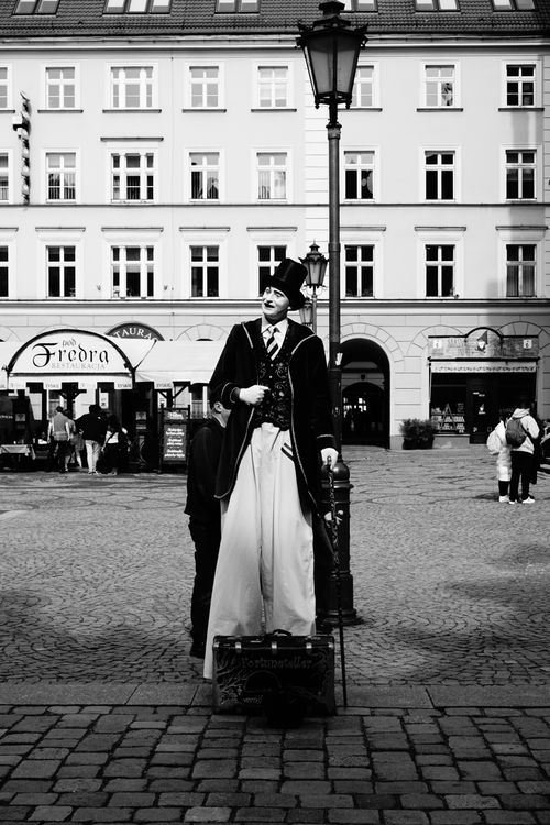 Free A black and white portrait of a street performer in period costume, standing on stilts in Wrocław, Poland. Stock Photo