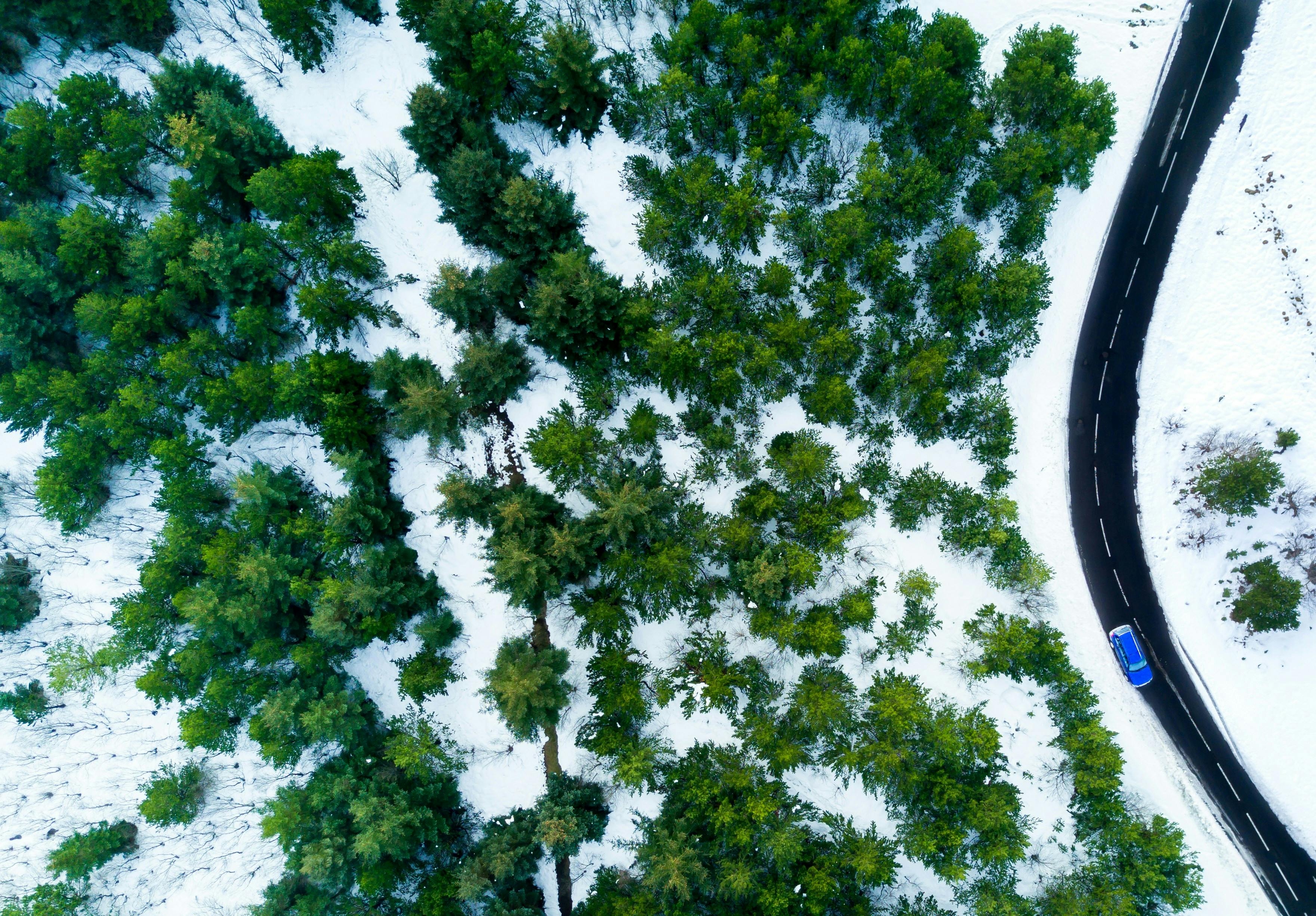 Stellantis Fleet Sales Account for 12% of Total Sales Boost — Photo by Willian Justen de Vasconcellos on Pexels