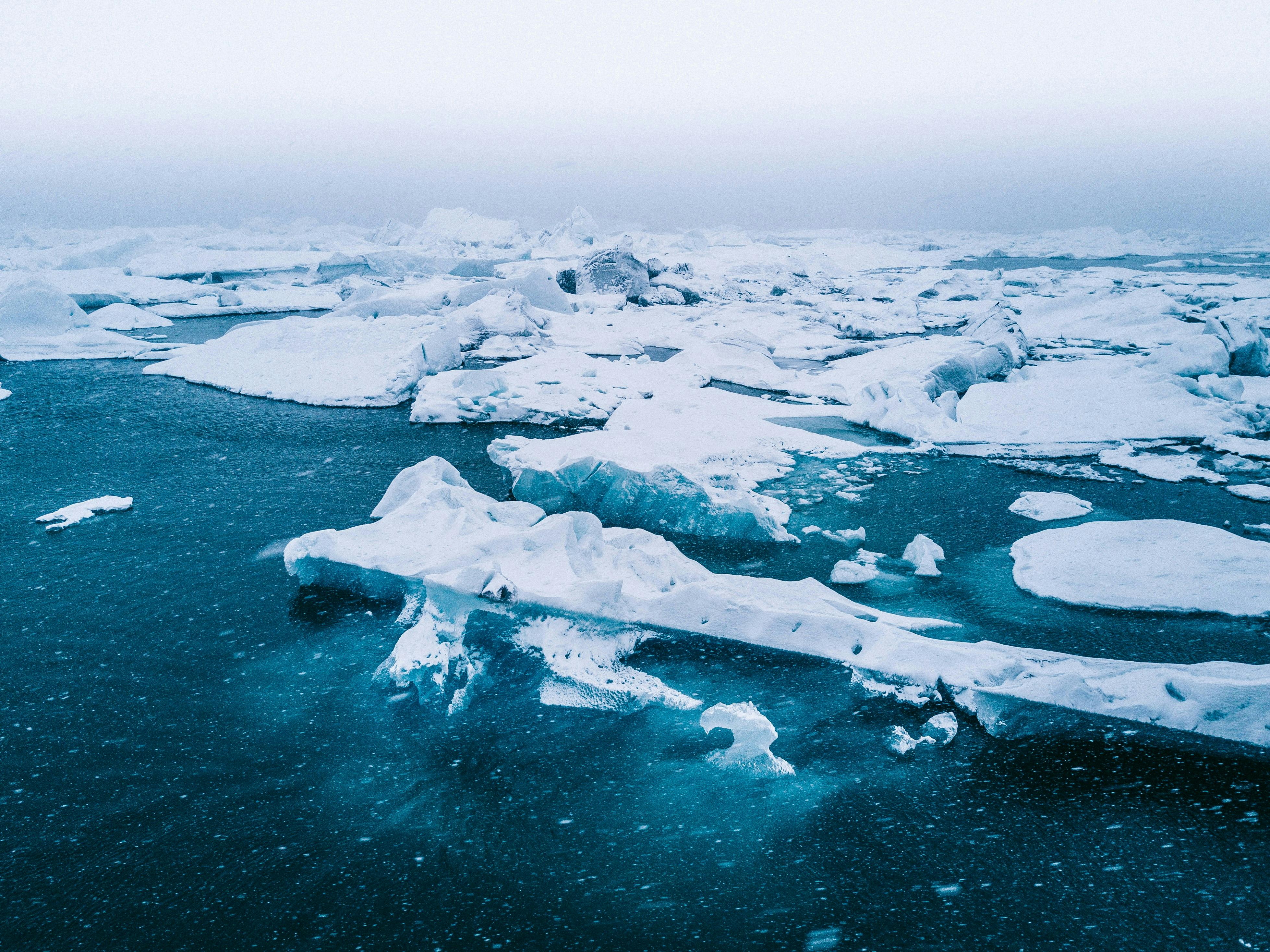 climate resilience, sea level rise, drought mitigation, ecosystem restoration, climate policy, Climate adaptation — Photo by 
