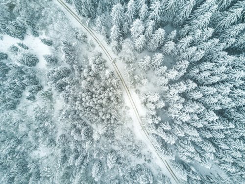 Бесплатное стоковое фото с Аэрофотосъемка, белый, вид сверху