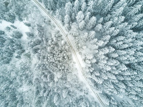 Free Aerial view of a road in a snowy forest Stock Photo