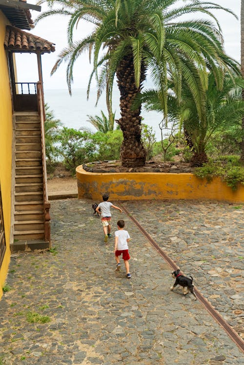 Two children walking down a path with a dog
