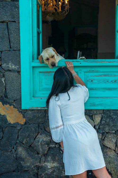 A woman petting a dog in a window
