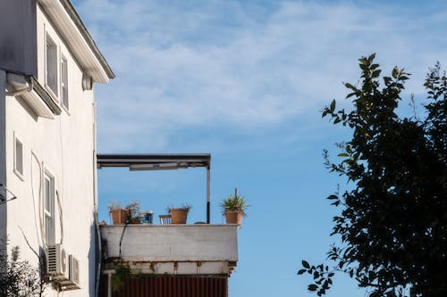 Ingyenes stockfotó cserepes növények, épület külseje, erkély témában