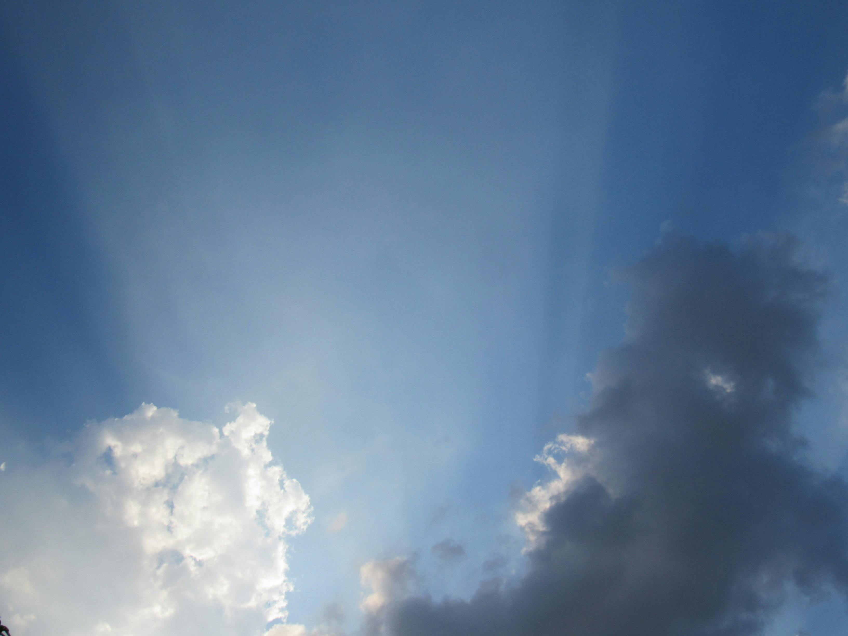 People holding globe