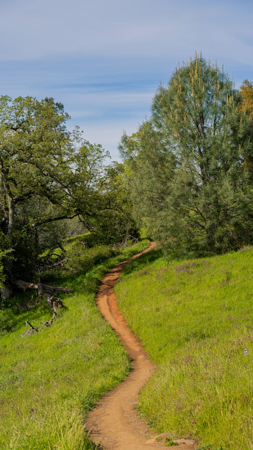 A dirt trail runs through a green grassy field