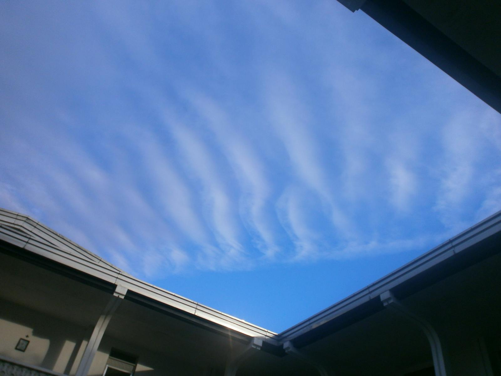 Technology-Driven Logistics Center