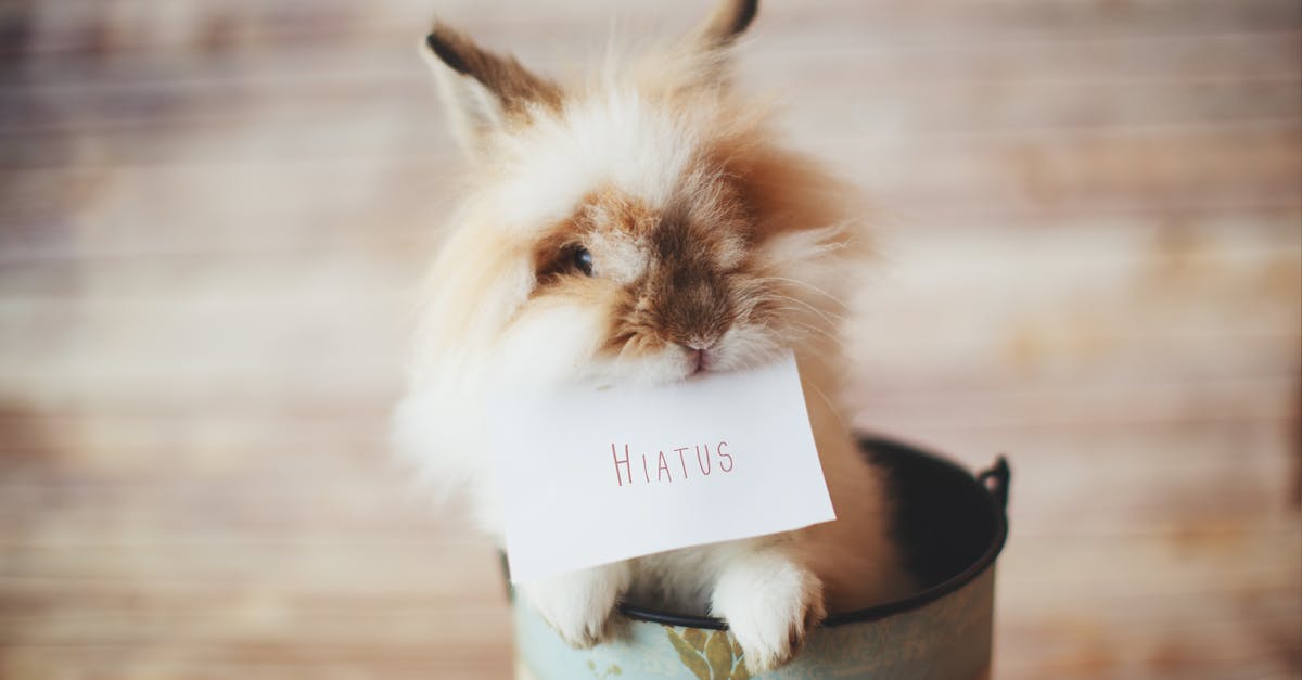 What does hiatus mean hernia