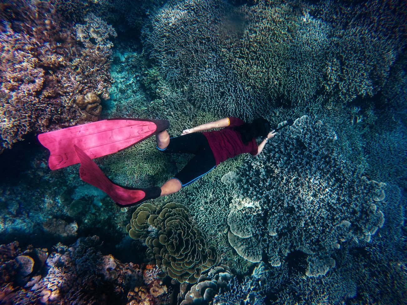Snorkelling over coral reef in a marine park on the Kenyan south coast