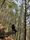 hiking