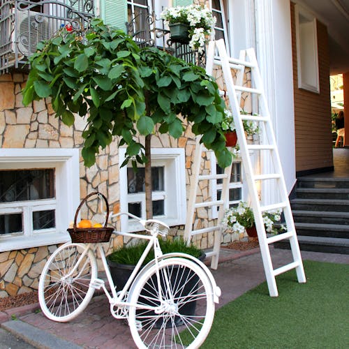 無料 木の植物の横に寄りかかって自転車を通る白いステップ 写真素材