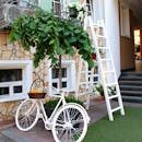 在这个舒适的户外场景中，配备了白色自行车、梯子和郁郁葱葱的绿色植物，营造出时尚的氛围