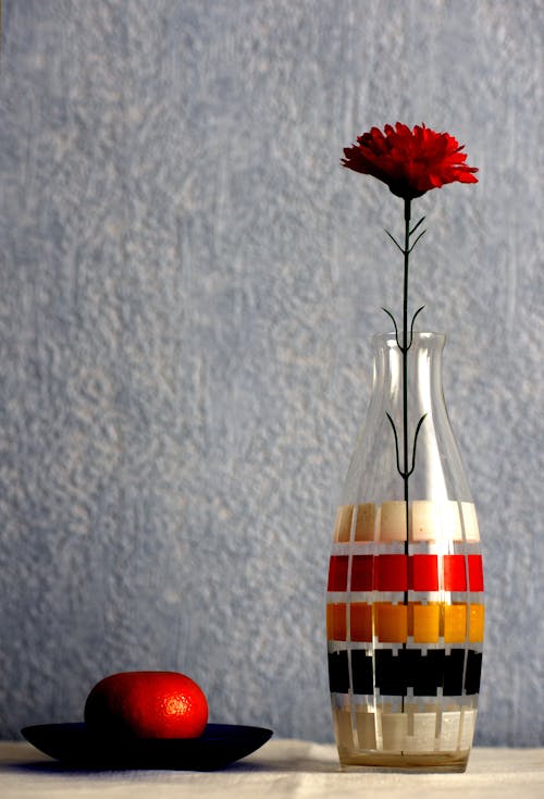 Gratis Bunga Merah Dalam Vas Bunga Kaca Bening Foto Stok