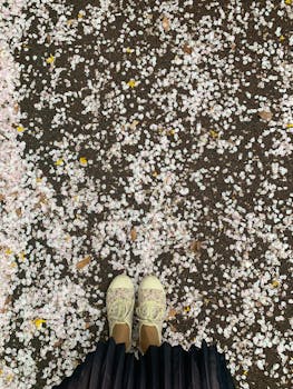 走在樱花花瓣覆盖的小路上，一双鞋子唤起了春天的气息