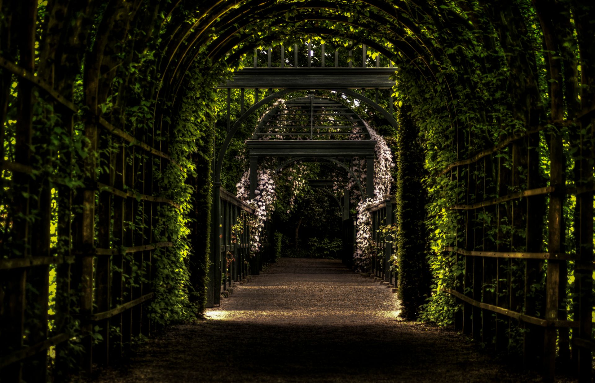 A serene path through a tunnel of green arches in a tranquil garden scene.