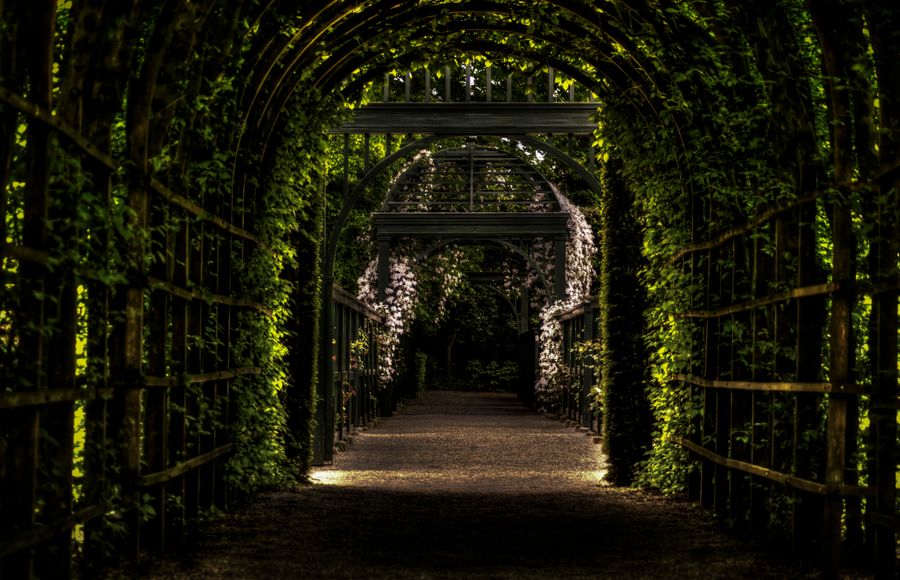 Garden archway path