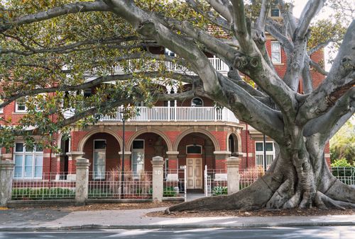 Free View of Kirkman House in Perth with a grand Moreton Bay fig tree, blending nature with architecture. Stock Photo