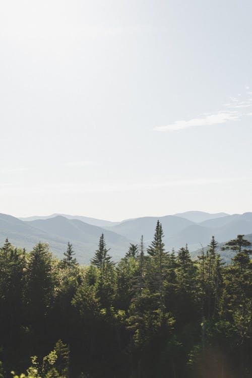 Бесплатное стоковое фото с белые горы, вечнозеленый, гора