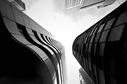 Free Black and white photo of tall buildings Stock Photo