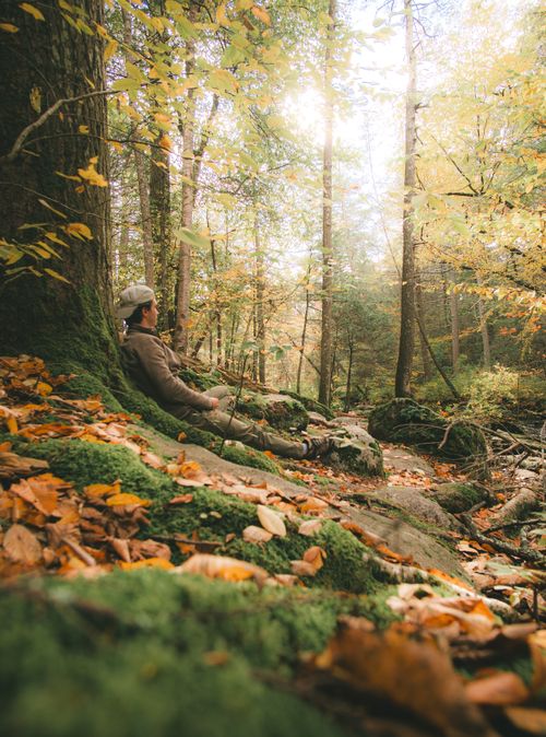 Free Man relaxing on mossy ground in a sunlit autumn forest capturing the essence of wilderness tranquility. Stock Photo