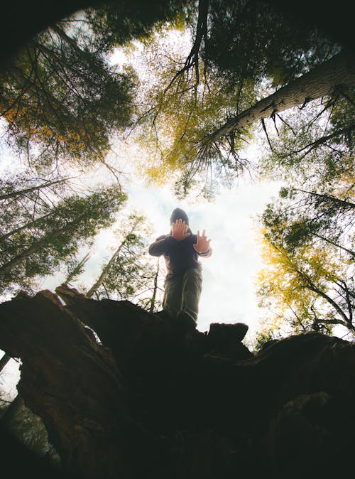 Бесплатное стоковое фото с активный отдых, Взрослый, глубокий лес