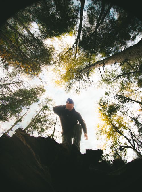 Free Man covering eyes in forest, captured from below looking up at tall trees. Stock Photo