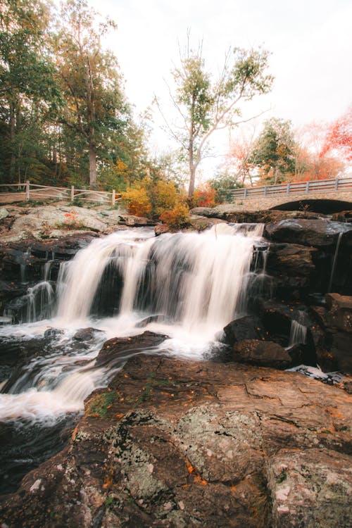 Foto stok gratis air, air terjun, aliran