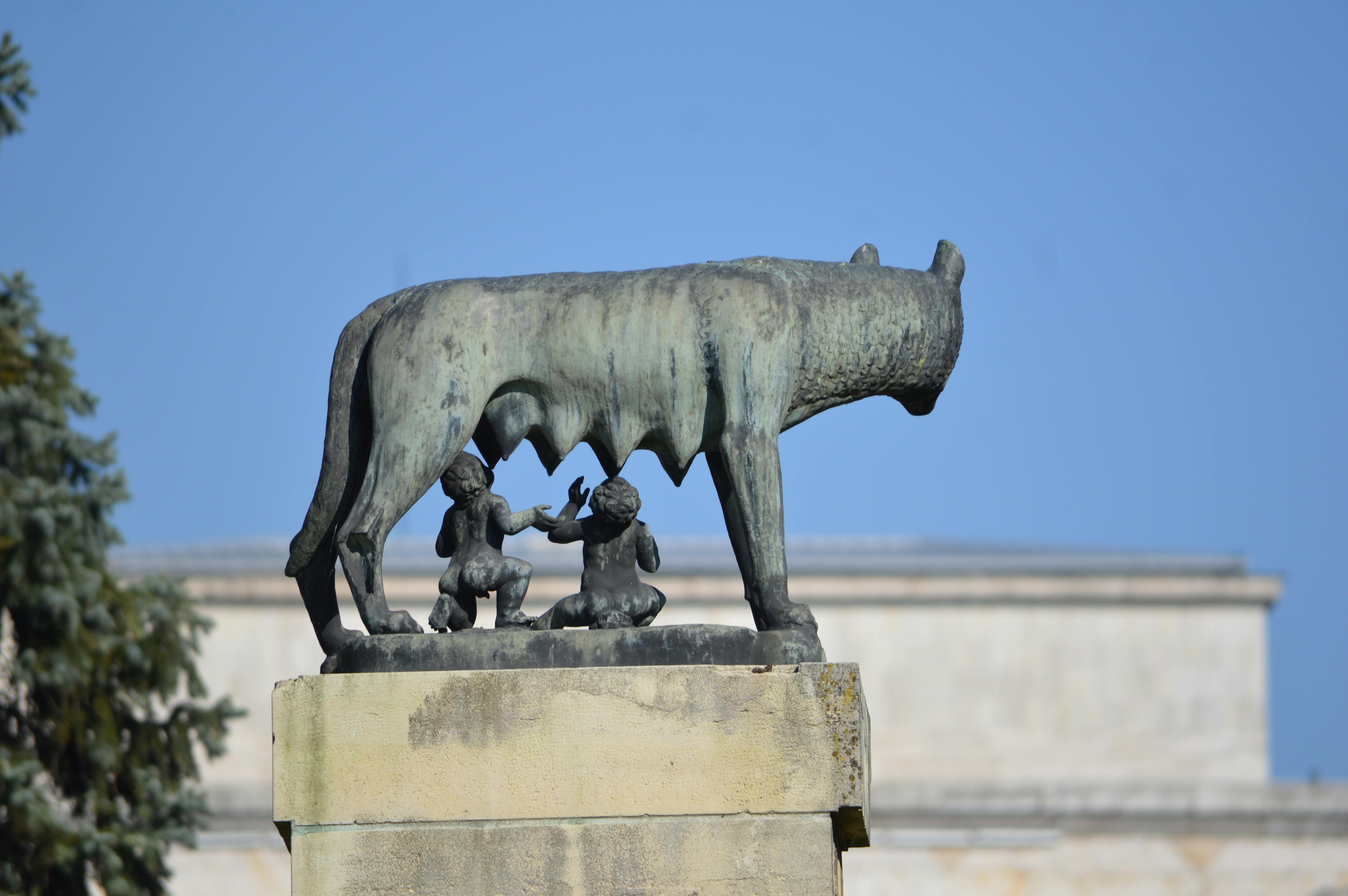 Free stock photo of rem, romul, romulus and remus statue