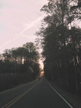 A tranquil road flanked by tall trees under a fading sunset sky, offering a peaceful drive.