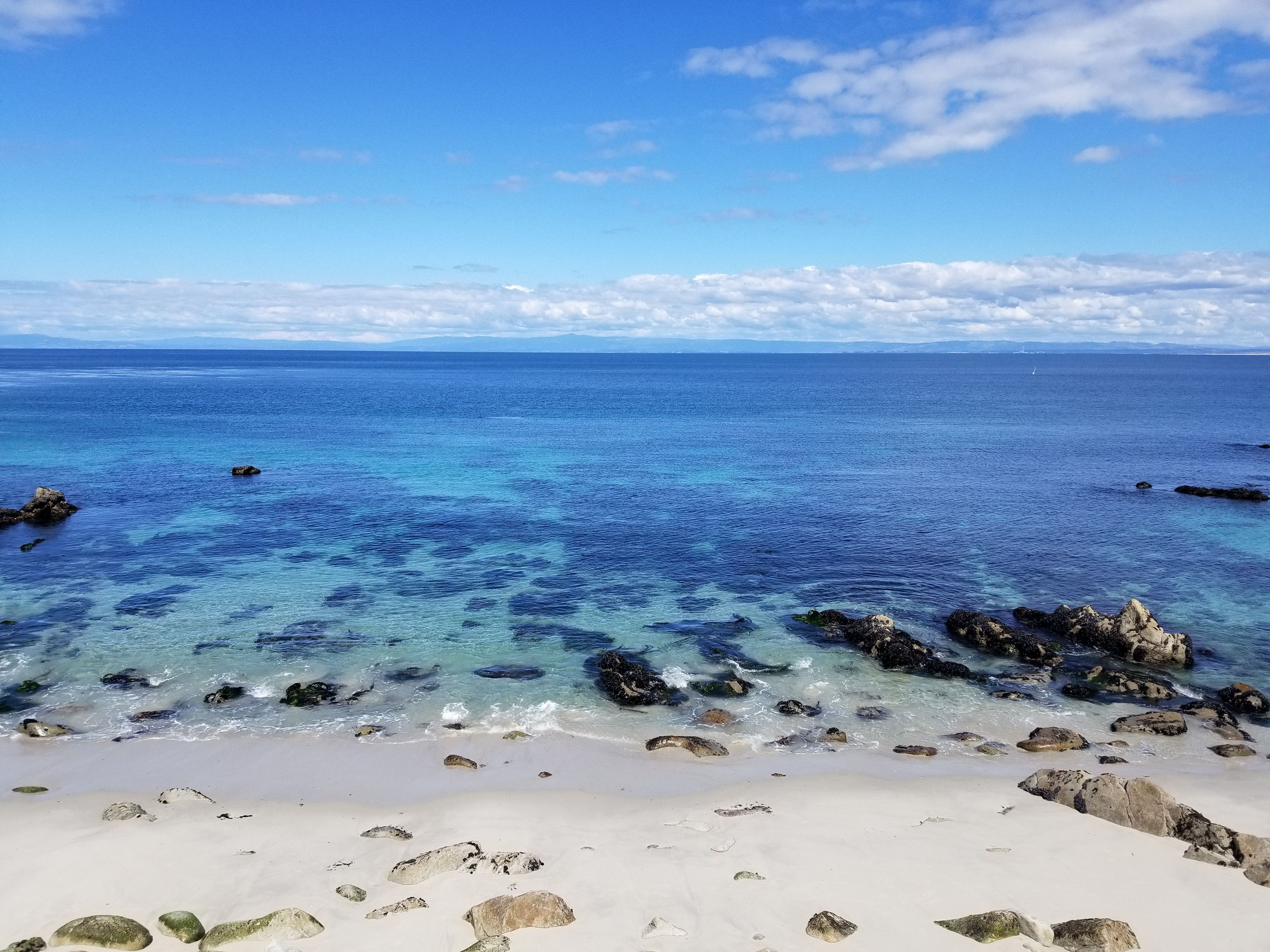 Monterey