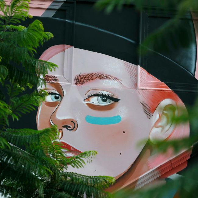 Striking street art mural of a woman's face surrounded by greenery in Adelaide, Australia.