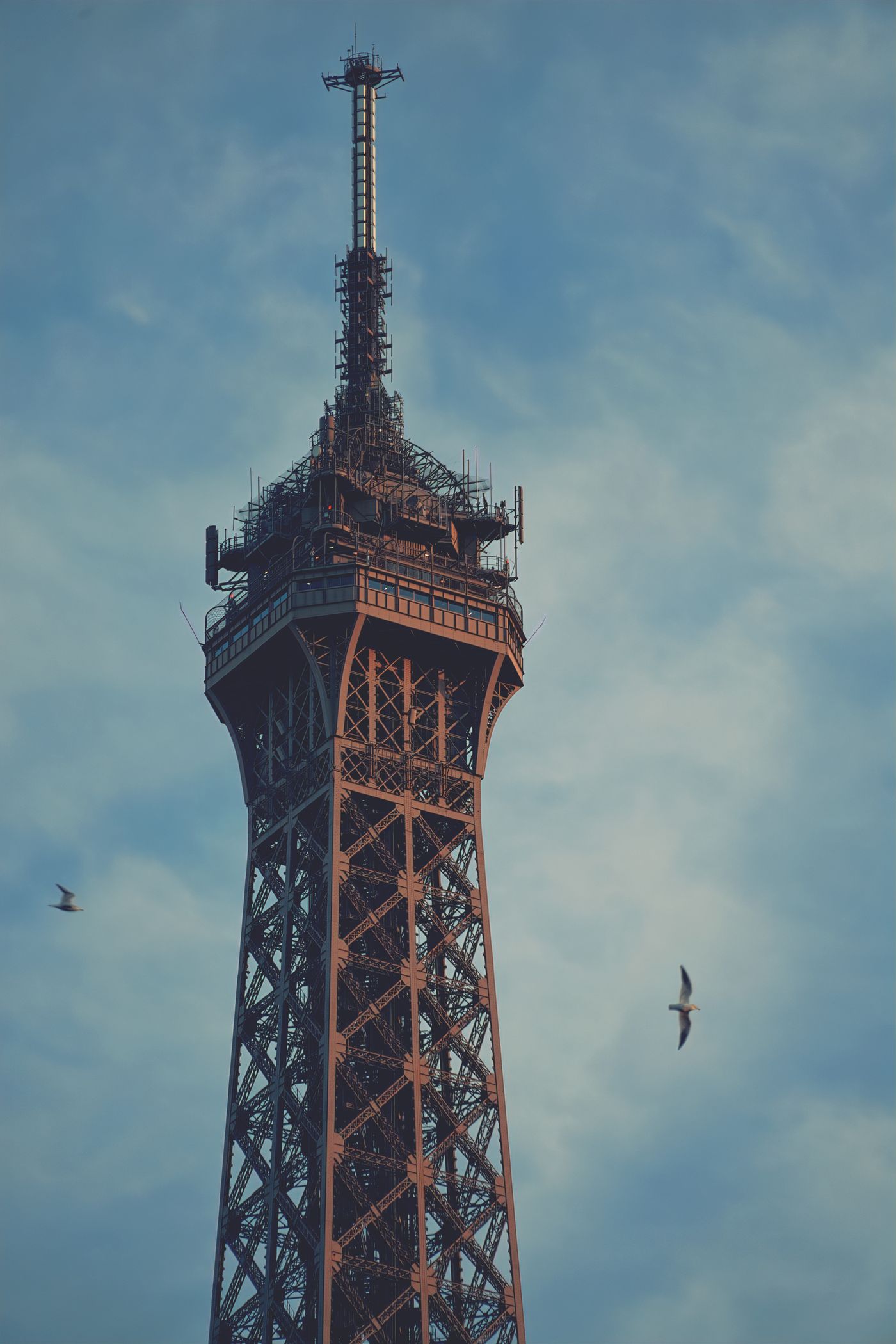 Esperienza culturale a Parigi