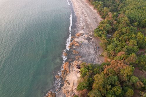 Free Stunning aerial shot of a forest and coastline, perfect for nature lovers. Stock Photo