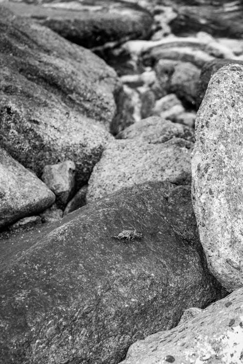 A black and white photo of rocks and water