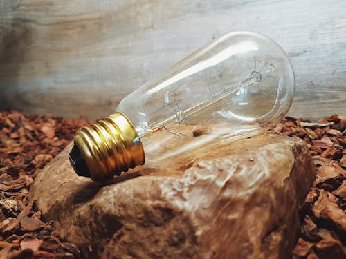 Free Clear Glass Light Bulb Stock Photo