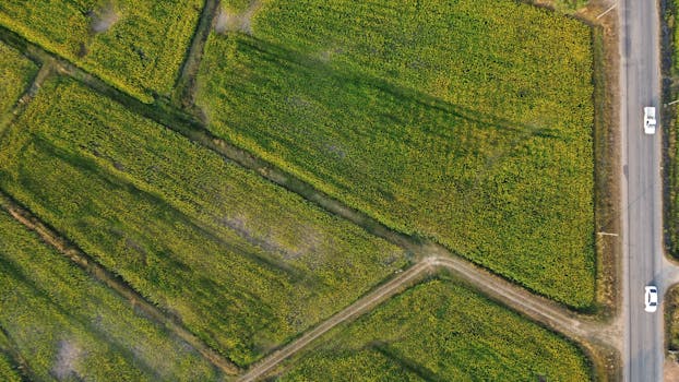 Drone shot of lush green fields with intersecting roads in rural Thailand.