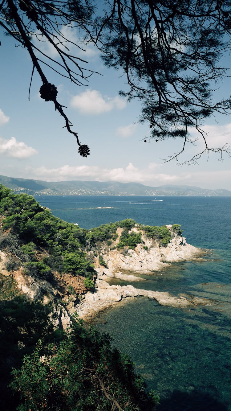 Trees And Rocks On Sea Shore