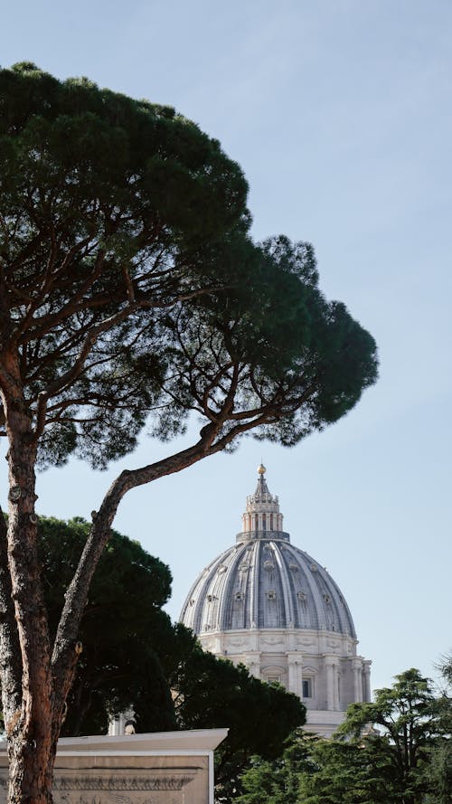 Fotos de stock gratuitas de al aire libre, árbol, arquitectura