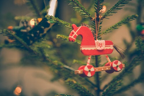 Foto d'estoc gratuïta de arbre, arbre de Nadal, branca