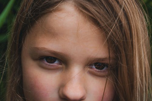 Free stock photo of brown eyes, eyes, female