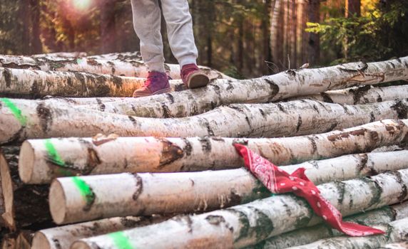 Photo Of Person Standing On Wooden Logs