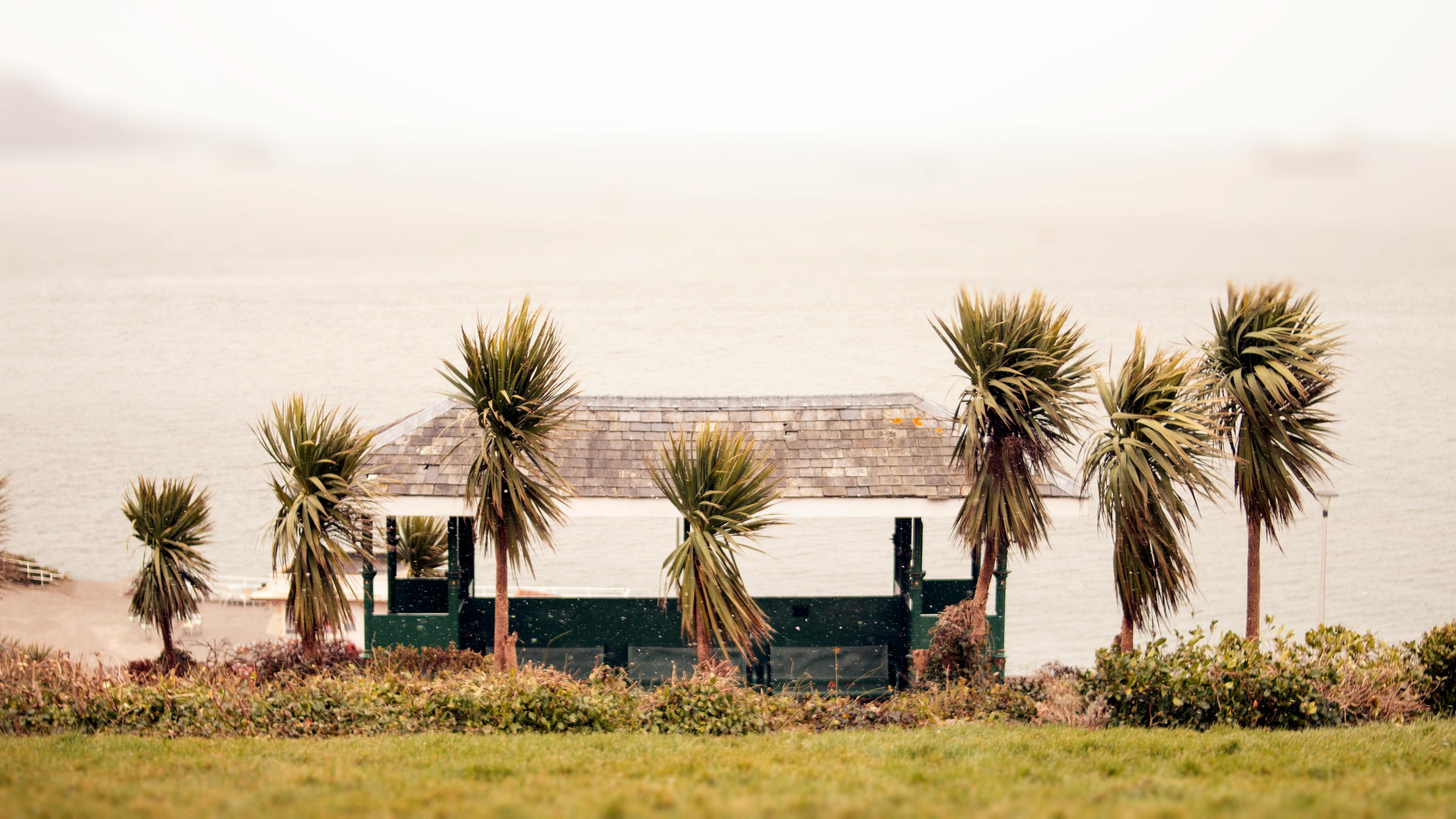 Sea Sheds Photos, Download The BEST Free Sea Sheds Stock Photos & HD Images