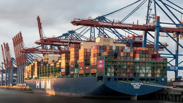 Cargo ship docked at Terminal Burchardkai, Hamburg. Industrial shipping scene.