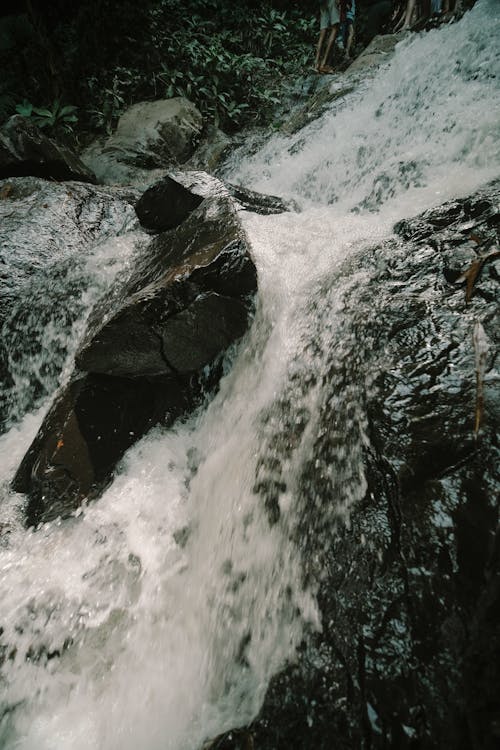 原本, 小河, 山 的 免费素材图片