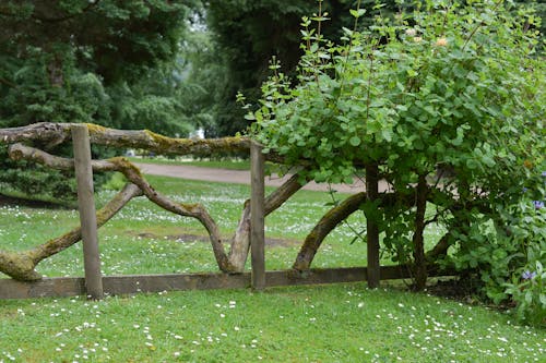 Základová fotografie zdarma na téma Anglie, cestování, cestovní ruch