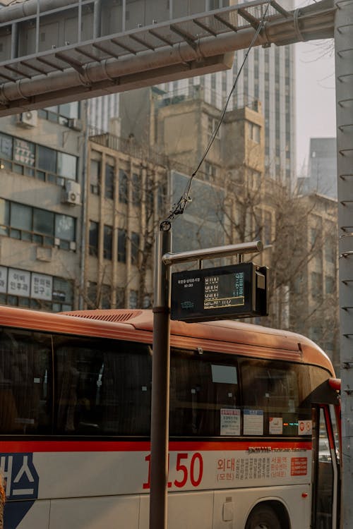 Základová fotografie zdarma na téma Asie, autobus, budova