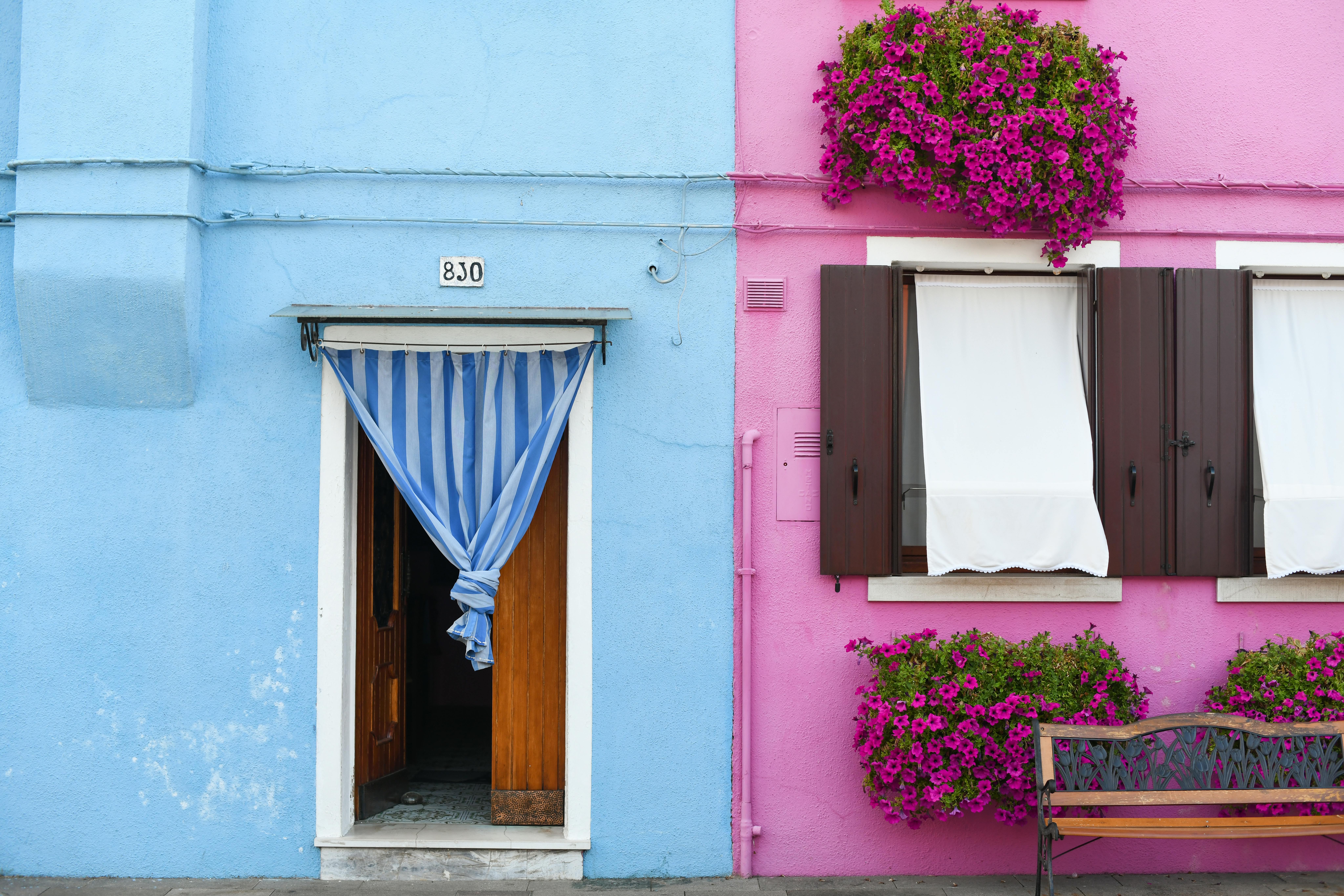 Vibrant urban wall with blue door and pink flowers, perfect exterior decor